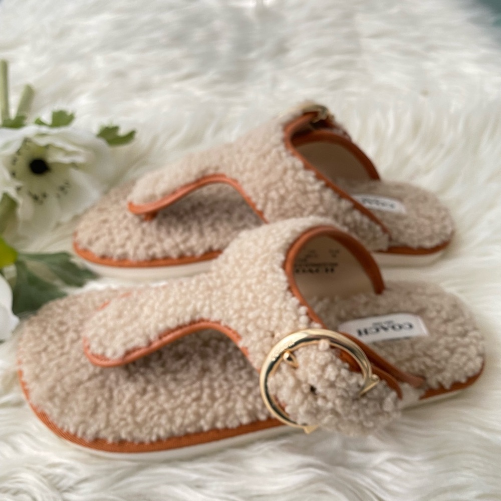 - NWT COACH Women's Hollie Cozy T-Strap Slippers - Picture 7 of 11